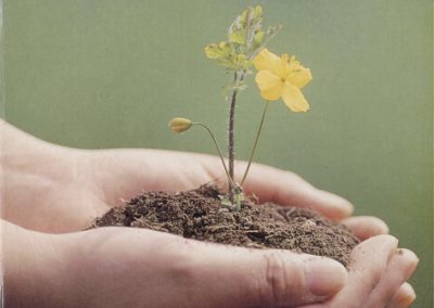 Waarom De Kleine Aarde & Impact