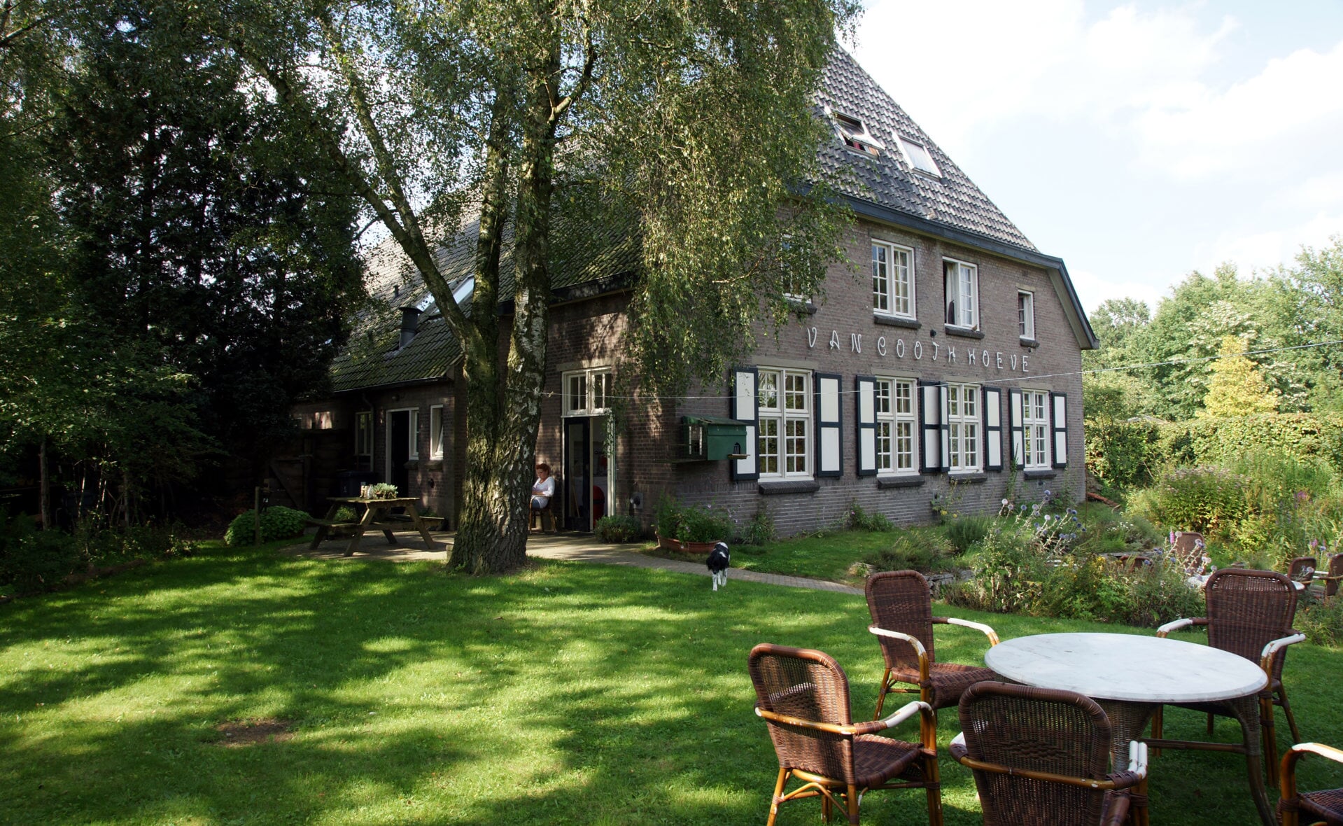 Pleun van Dieren